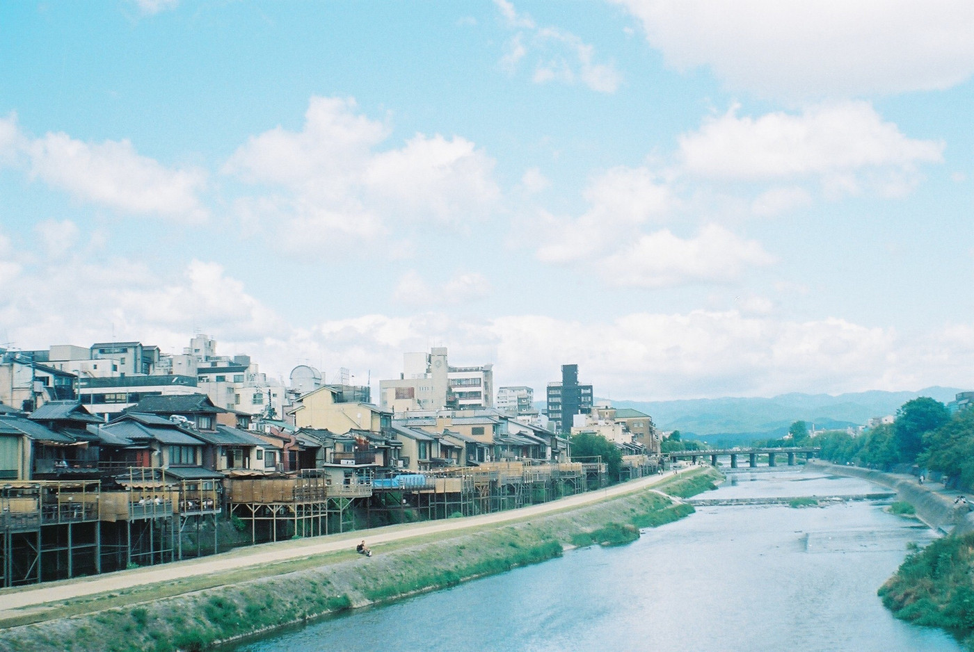 鴨川をフィルムカメラで撮りました！