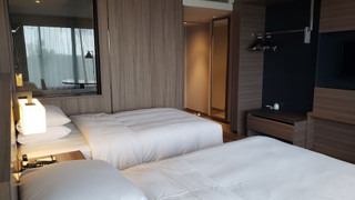 スーペリア ルーム シングルベッド 2 台 マウンテンビュー (Hot Spring)