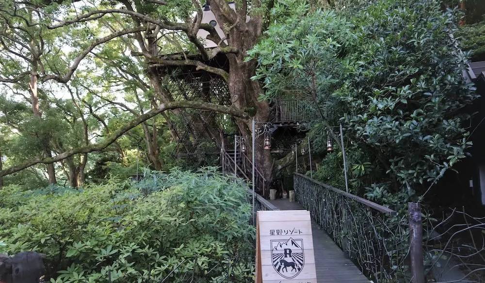 アーチの先には屋外の「森の空中基地 くすくす」が。体を動かしたり、のんびり歩いたり、ドリンクを飲んだり…自然の中でアクティビティを楽しめます。