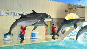 観光スポット / 4