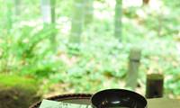 見どころたくさん！自然もたくさん！鎌倉「浄明寺」エリアのおすすめスポット10選／神奈川