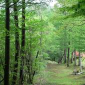 草津温泉 草津グリーンパークパレス（群馬県 リゾートホテル） / 4