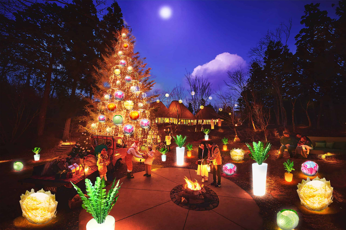 アグリクリスマス