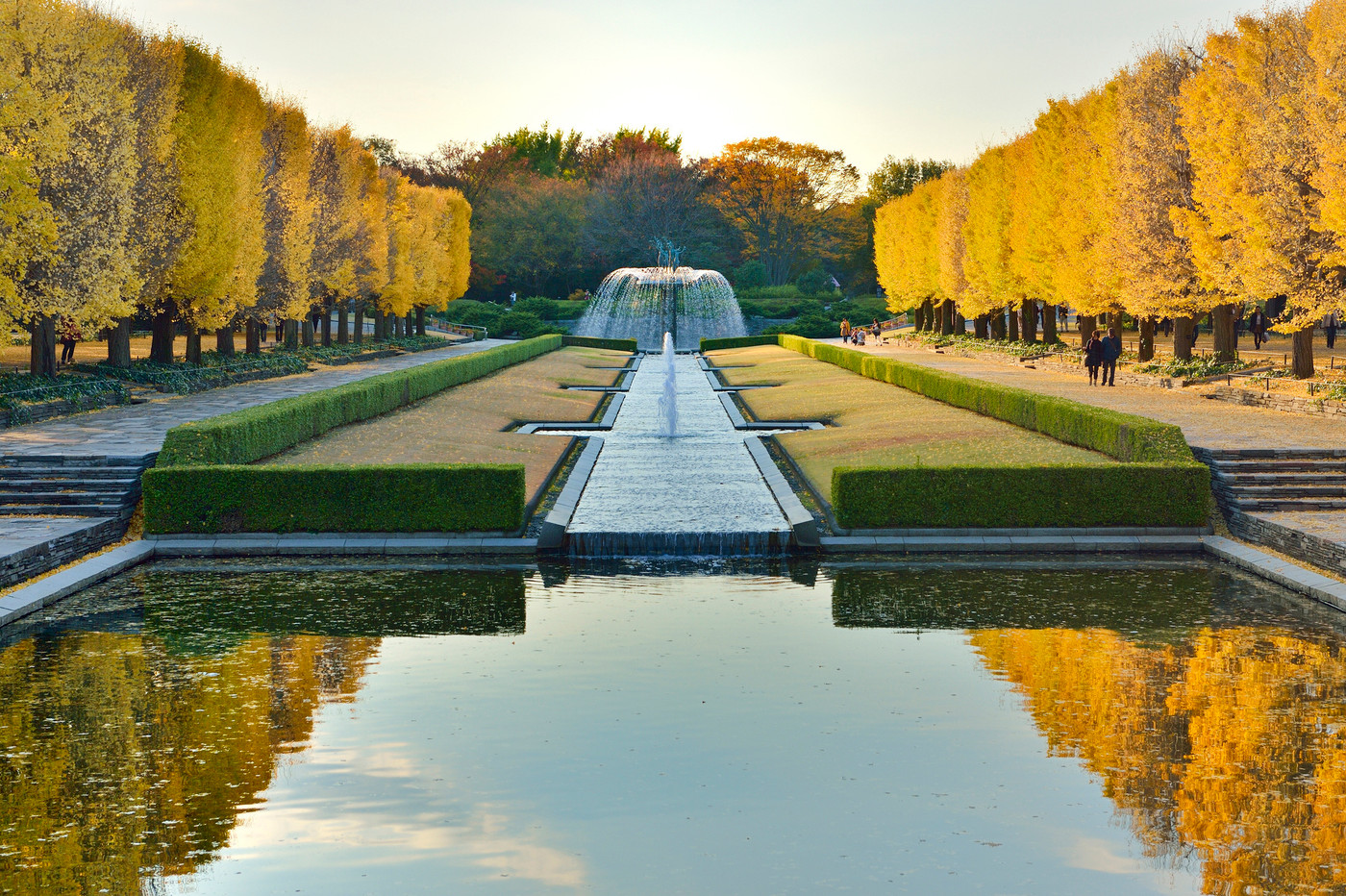 昭和記念公園