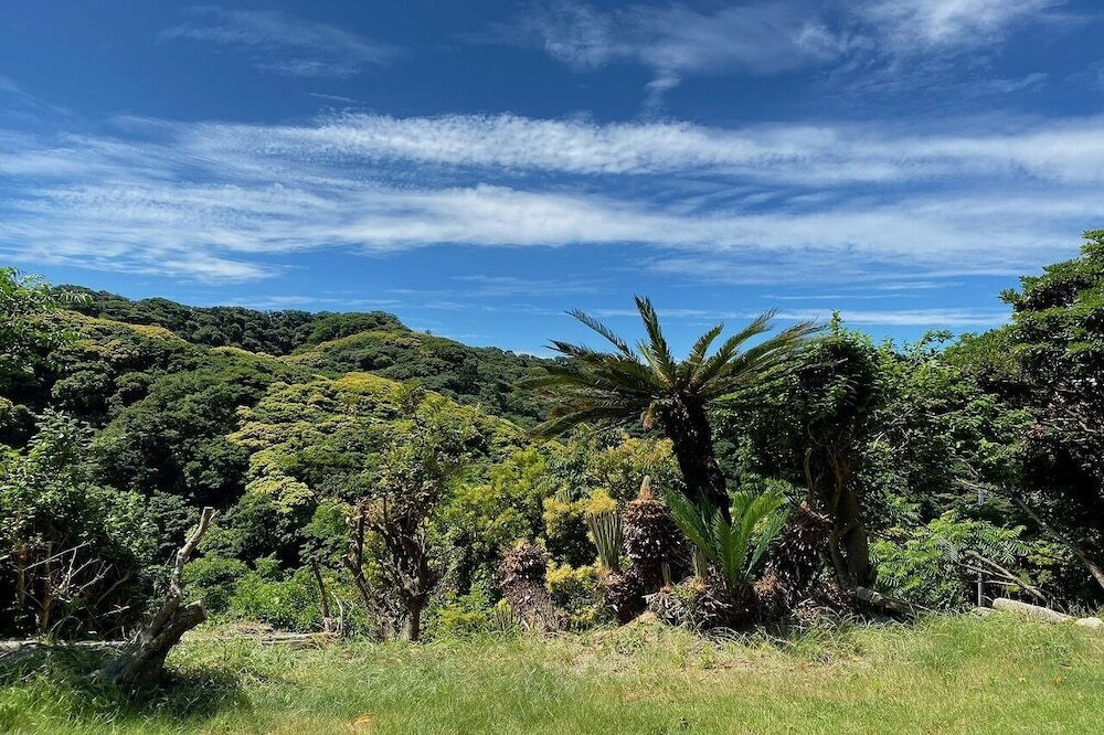 施設からの眺望