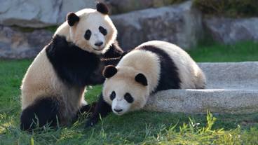 アドベンチャーワールド / 2