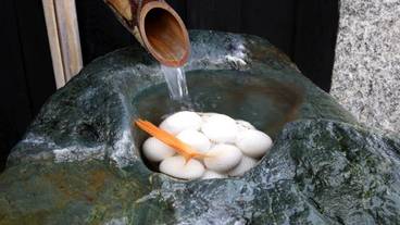 施設の入り口 / 25