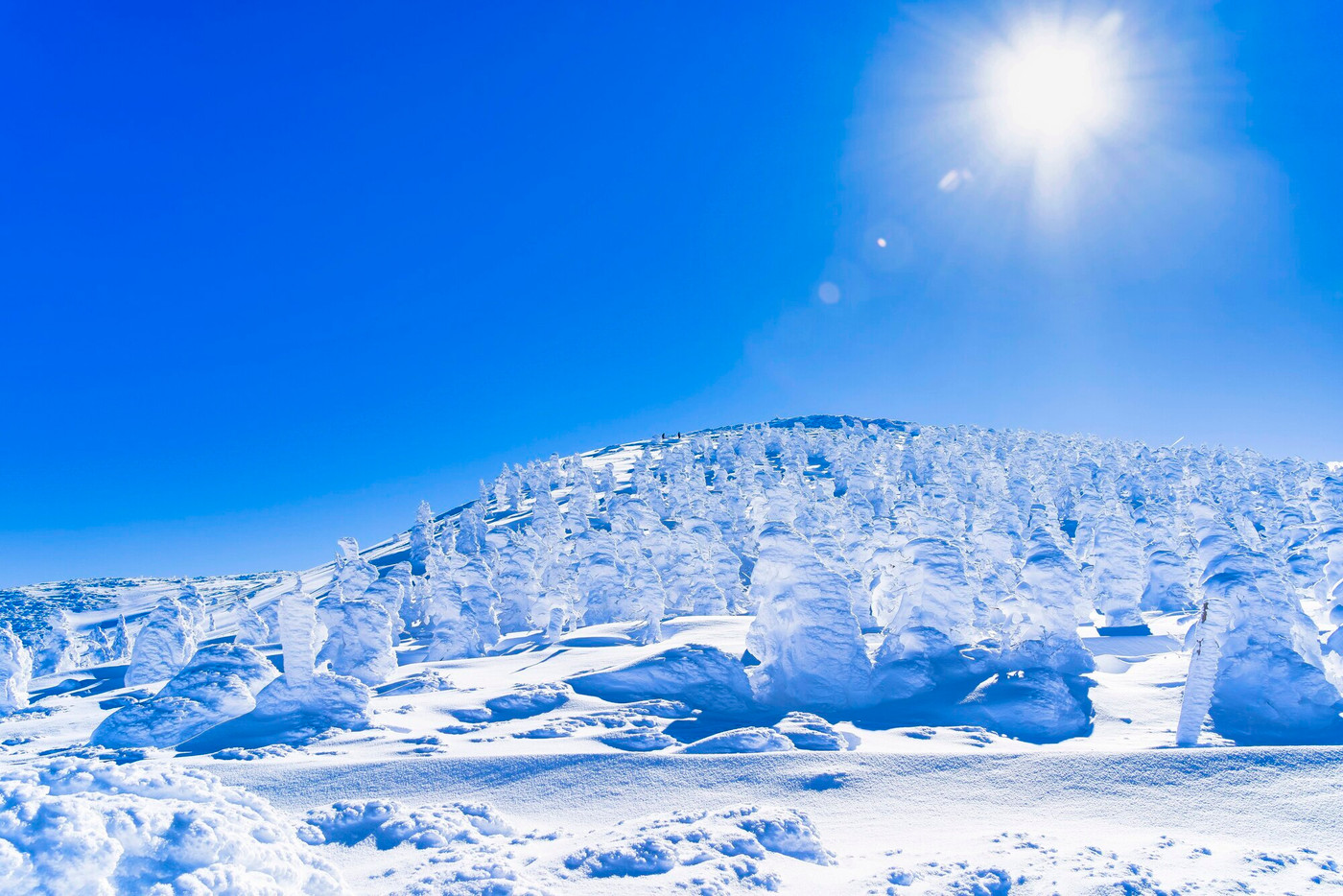 山形蔵王の樹氷と青空　山形県山形市