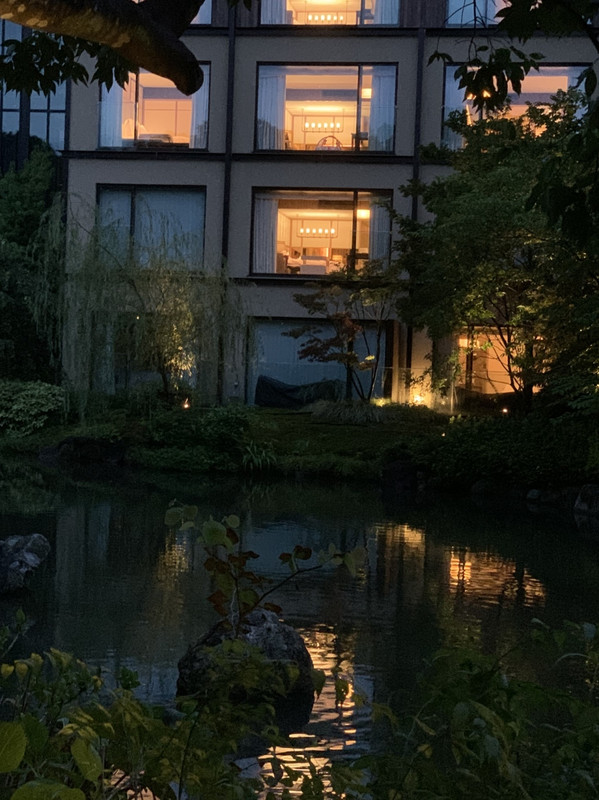 お庭から