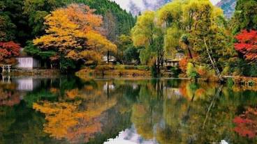 観光スポット / 37