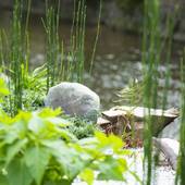 京都 高瀬川別邸（京都府 シティホテル） / 4
