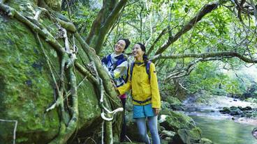 亜熱帯の森トレッキング / 4