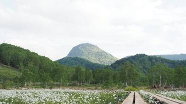 ハイキング / 12