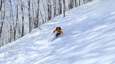 スノー スポーツとスキー / 14