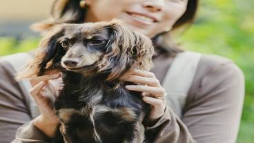 ペット同伴可 / 2