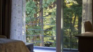 バルコニーからの眺望 / 21