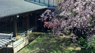 山ざくら (47平米+2ベッド洋室タイプ) 禁煙