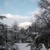 白馬村のビジネスホテル ホテルカルチャード(長野県 ビジネスホテル) / 5