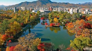 観光スポット / 8