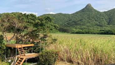 施設からの眺望 / 17