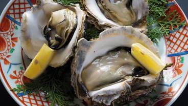 食事・飲み物 / 15