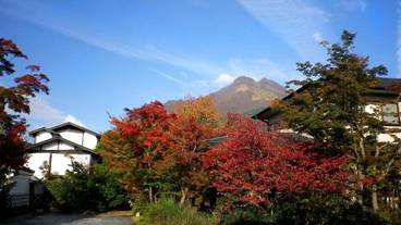施設の敷地 / 18
