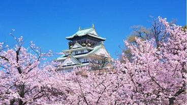 ランド ビュー / 6