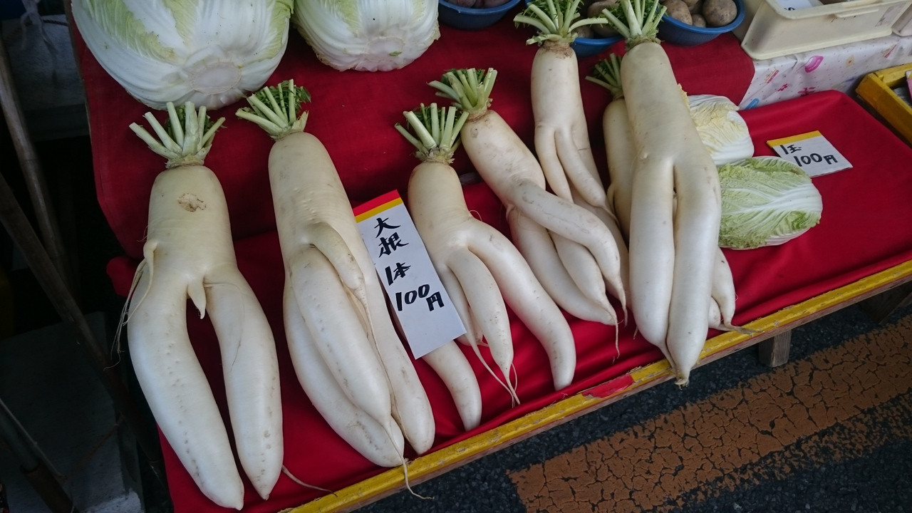 採れたての自然の恵み！野菜や果物551563