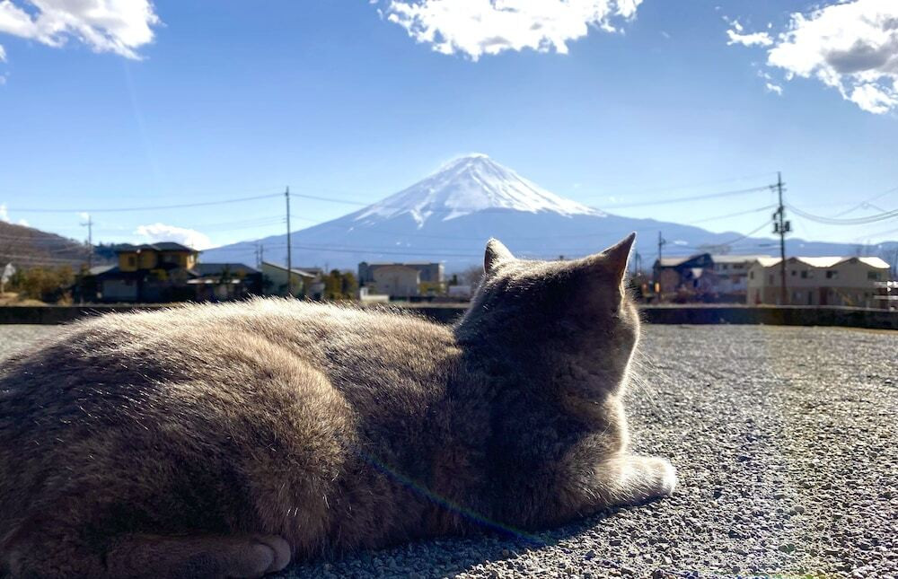 施設からの眺望