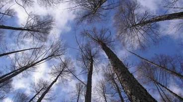 施設の敷地 / 29