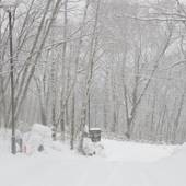 ホテル アストリア（長野県）（長野県 リゾートホテル） / 4