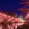 【2018年】新潟・日本三大夜桜ひとつ「高田公園」の桜の見ごろは4月中旬!