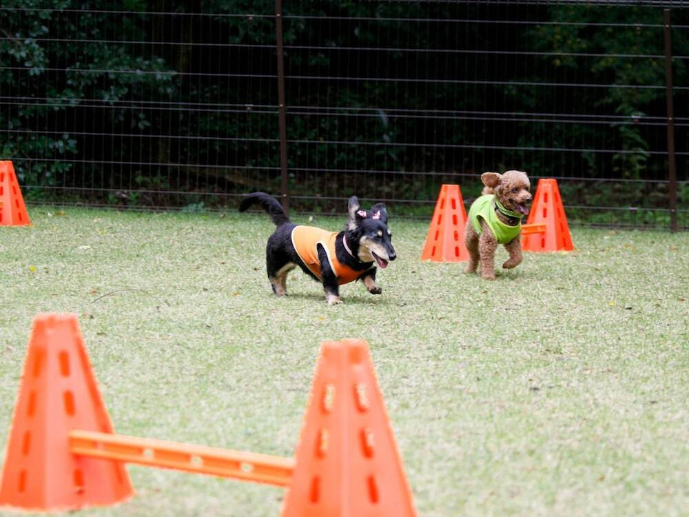 ペット用設備・サービス