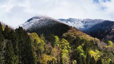 ランド ビュー / 11