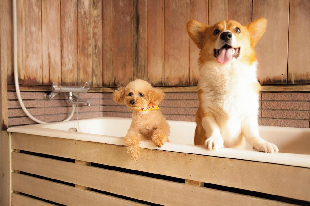 メイン イメージ