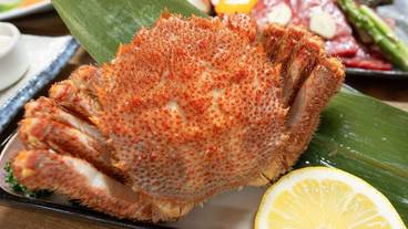 食事・飲み物 / 4