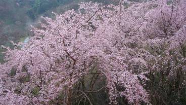 施設の敷地 / 18