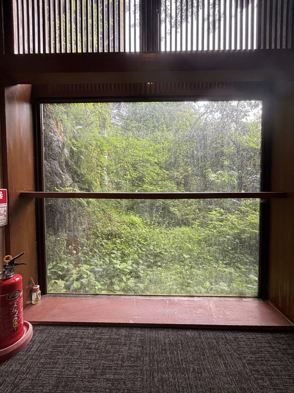 別館1階前の風景、汚れた窓と雑草が覆い繁りる