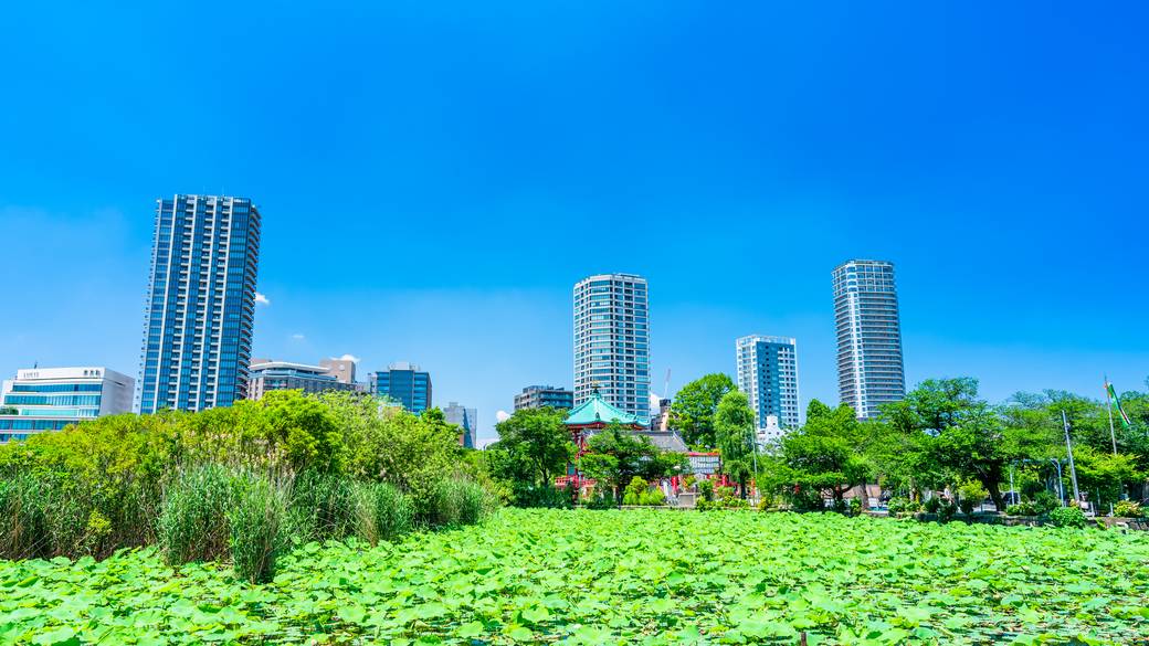 自然あふれる
「上野公園」を散策 / 1