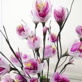 楽奇温泉旅館（長野県 旅館） / 2