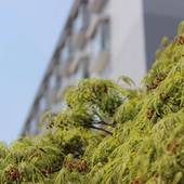 KYOU BARLOUNGE＆INN（宮城県 ビジネスホテル） / 4