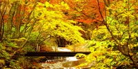 秋だけの贅沢な景色！福島の紅葉が美しいスポット10選