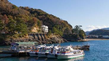 観光スポット / 6