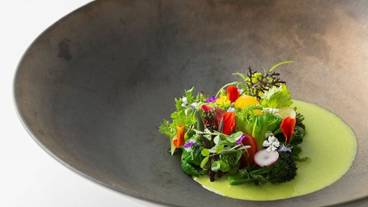 食事・飲み物 / 11