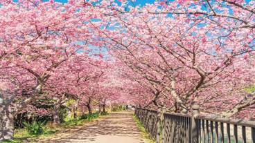 ランド ビュー / 37