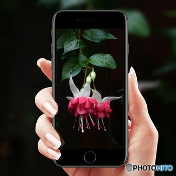 カンタンなスマホアプリで、かわいい「花写真」♪2071360