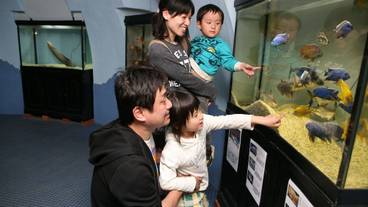 子供用スペース / 24