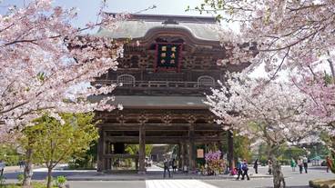 観光スポット / 13