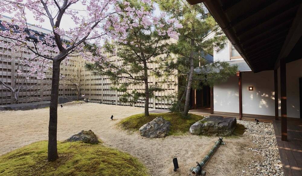 中庭の桜 / 2