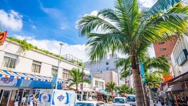 シティ ビュー / 4